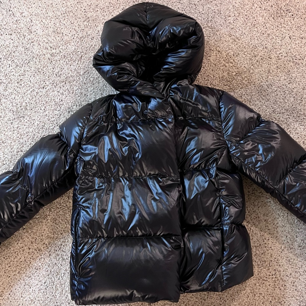 Aritizia The Duvet Puffer Short